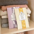 thumbnail image 5 of 9 Pieces Laundry Fragrance Cabinet Scented Sachets Wardrobe Fragrance Freshener Fragrance Bag Wardrobe Fragrance Hanging Bag Cabinet Deodorant, 5 of 10