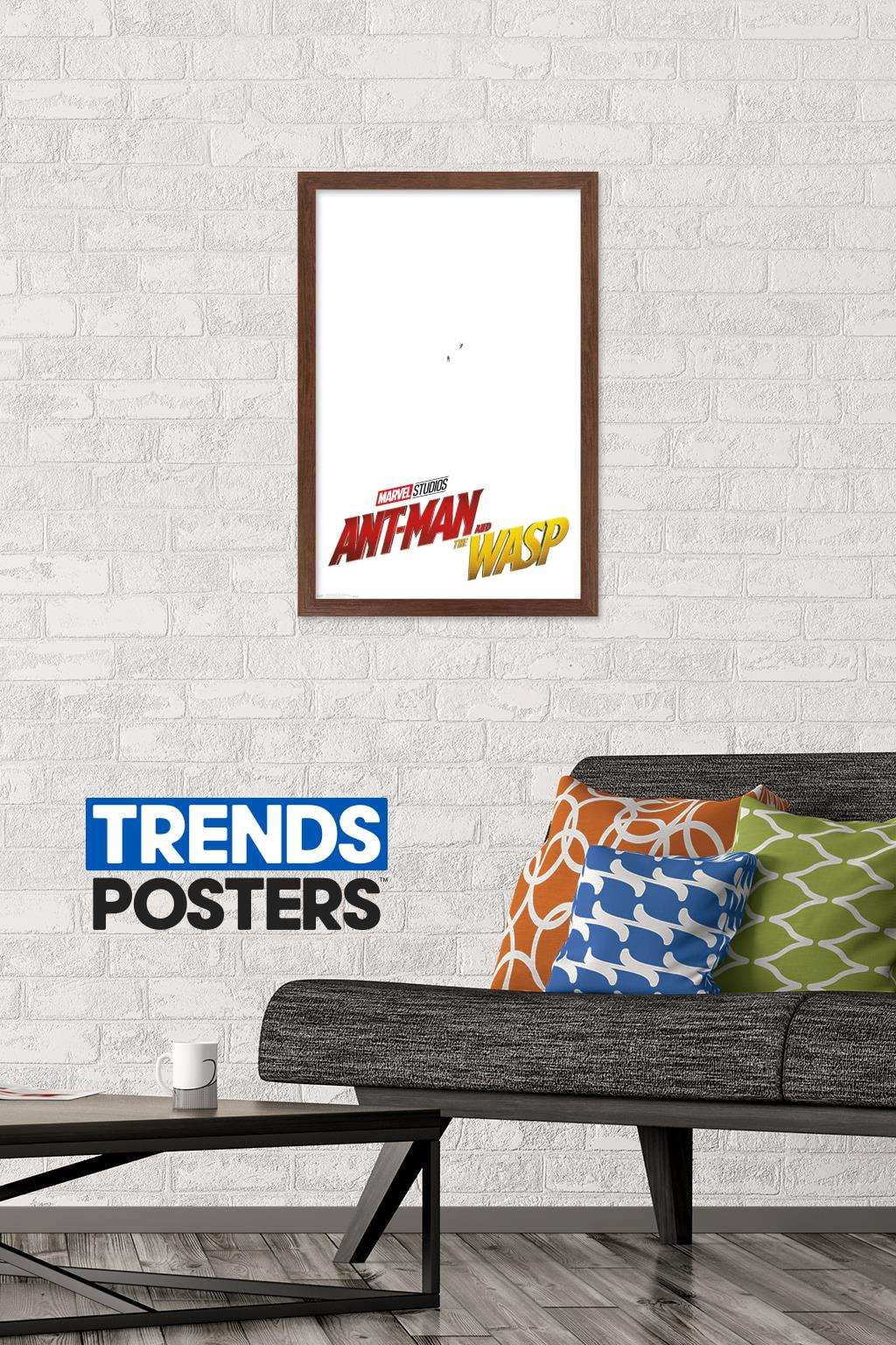 Marvel Cinematic Universe - Ant-Man and the Wasp - One Sheet Wall Poster, 14.725" x 22.375", Framed