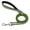 Green, variant on Didog 5ft Nylon Dog Leash Night Reflective Pet Lead for Small Medium Dogs Walking Training