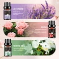 thumbnail image 3 of Aeshory Floral Essential Oils Set - Scented Oil for Diffusers, Massage, Candle Making, 6 x10 ml, 3 of 7