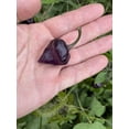 thumbnail image 2 of Sherwood's Premium 10 Pepper Plant Seeds, Rare, 2 of 2