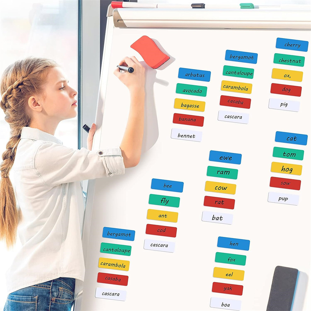 NOGIS 60 Pack Dry Erase Magnetic Labels Magnets Sticker Reusable Magnetic Name Tags Waterproof Magnetic Label Stickers for Classroom Office Whiteboard Fridge Cabinet Shelf, 5 Colors, 1 x 3 Inch