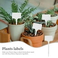 thumbnail image 3 of SWETRACE 50Ud Marcadores Plásticos Para Plantas Uso En Jardín Y Maceteros Identificación Rápida, 3 of 8