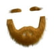 thumbnail image 5 of Conjunto de barba y cejas postizas, vello facial postizo, accesorio de disfraz, decoración para Amarillo marron, 5 of 9