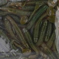 thumbnail image 3 of 50 piezas de 5 cm Lacres de Pesca de PlásStico Blando Tail Grub Cebos de Gusano de Peces Accesorio para Entusiastas de la Pesca, 3 of 7