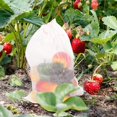thumbnail image 3 of 50 bolsas de red para frutas y verduras, malla con cordón a prueba de pájaros para jardineros, herramienta de jardinería ideal para proteger su cultivo, 3 of 8