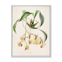 Designart 'Blossoming Vintage Flower I' Traditional Framed Canvas Wall Art Print