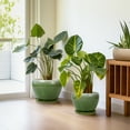 thumbnail image 3 of Ceramic Pots for Plants, 10+8+6 Inch Round Decorative Planters for Indoor Outdoor with Drainage Holes and Saucers, Office Garden Room Patio Decor, Gifts for Plant Lovers, Set of 3, Green, 3 of 8