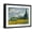 Black Frame, variant on Art.com Wheat Field with Cypresses, 1889 Giclee Print by Vincent van Gogh, 16" x 12"