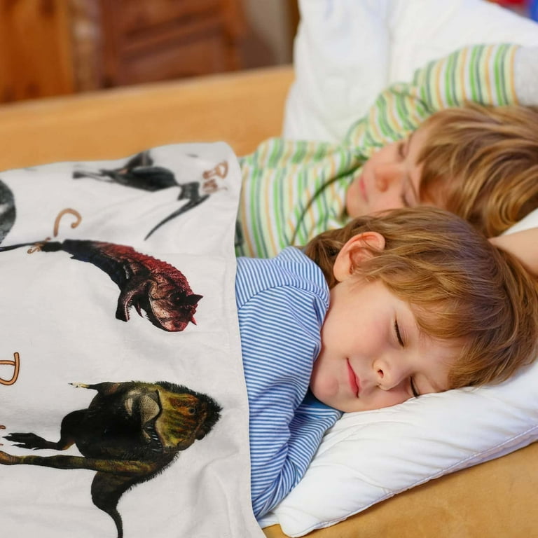 Dino fanatics online blanket