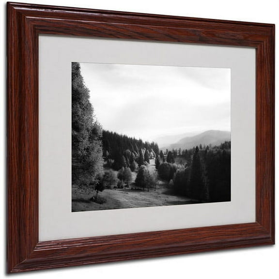 Trademark Fine Art "Spotlight" Canvas Art by Philippe Sainte-Laudy, Wood Frame