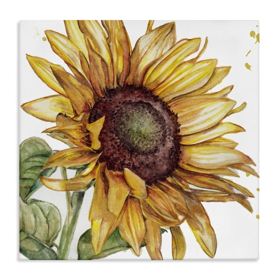 Stupell Industries French Country Modern Sunflower Close Up Canvas Art, 17 x 17, by Studio 731 rep. Levison Designs
