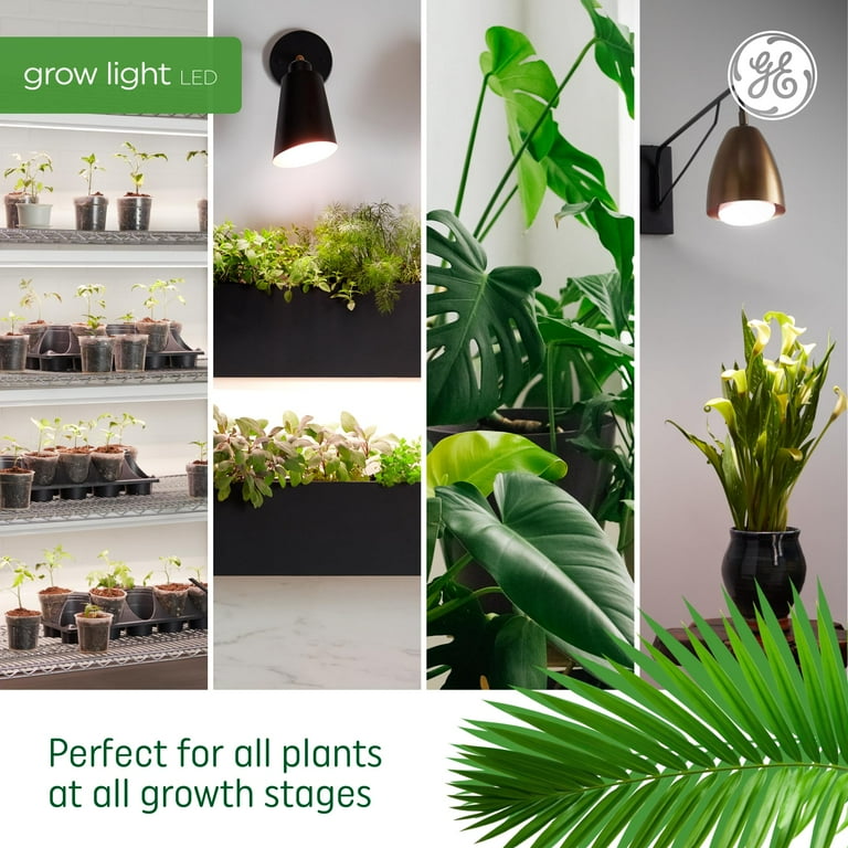 wooden plant stand indoor Mini Wood Indoor Plant Stand with Ceramic Pot main image 0