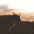 thumbnail image 2 of Great Art Now Sunset Watch by Donnie Quillen, Canvas Wall Art, 12W x 12H, 2 of 2