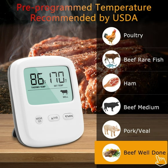 RYRDWP Thermomètre Numérique pour Cuisson des Aliments à Base de Vian