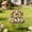 A, variant on AURIGATE Easter 2D Acrylic Bunny Garden Stakes - Rabbit with Eggs & Floral Wreath Decorative Yard Signs for Spring Outdoor Lawn Decor