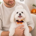 thumbnail image 4 of Halloween Dog Collar, Dog Bow Tie Collar for Small Dogs, Purple Adjustable Dog Collar with Bow, Pumpkin Witch Bell Accessory, Halloween Pet Accessory for Small Breed Dogs, 1 Pack, 4 of 4
