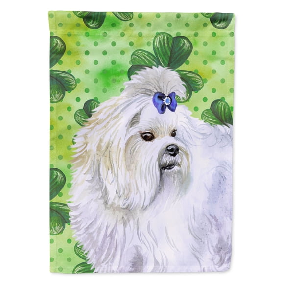 Carolines Treasures BB9825GF Maltese St Patricks Flag Garden Size  Small multicolor