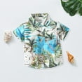 thumbnail image 3 of LNMQLPDBS Baby Boy Summer Clothes Short Sleeve Tropical Botanical Print Hawaiian Shirts for Boys Beach Vacation Clothes Baby Boy Gifts Casual Trendy Tops Kids Going Out Blouse Blue 18-24 Months, 3 of 8