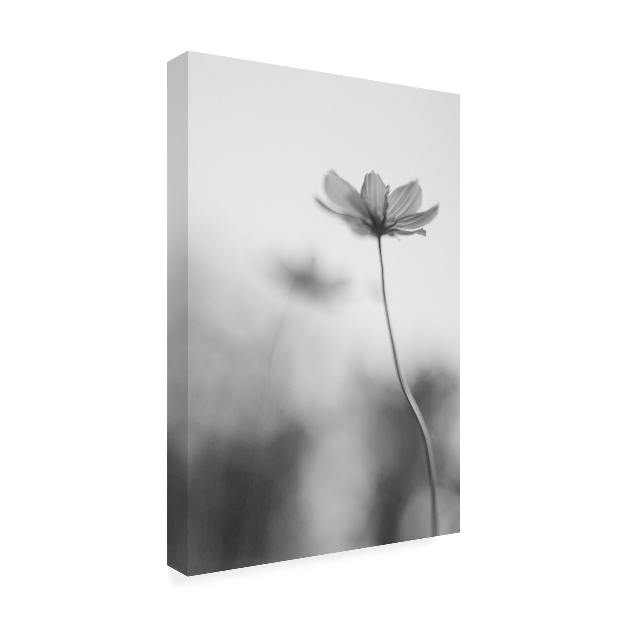 Canvas Wall Art - Udayan Ghosh 'An Ordinary Dream' Wall Art for Living Room, Bedroom, or Office D?cor by Trademark Fine Art - 12 x 19 Inches