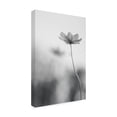 thumbnail image 4 of Canvas Wall Art - Udayan Ghosh 'An Ordinary Dream' Wall Art for Living Room, Bedroom, or Office D?cor by Trademark Fine Art - 16 x 24 Inches, 4 of 4