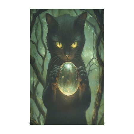 

WOBOGO Black Cat Magic Ball Kitchen Towel 1 Piece Large Cotton Dishcloth Premium Absorbency Set with Hanging Loop