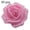 Cyan Pink, variant on 25/50/100Pcs Artificial PE Foam Rose Flowers Head DIY Wedding Home Room Decor(Green 25Pcs*)