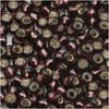 Toho Round Seed Beads 6/0 #26C 'Silver Lined Amethyst' 8g