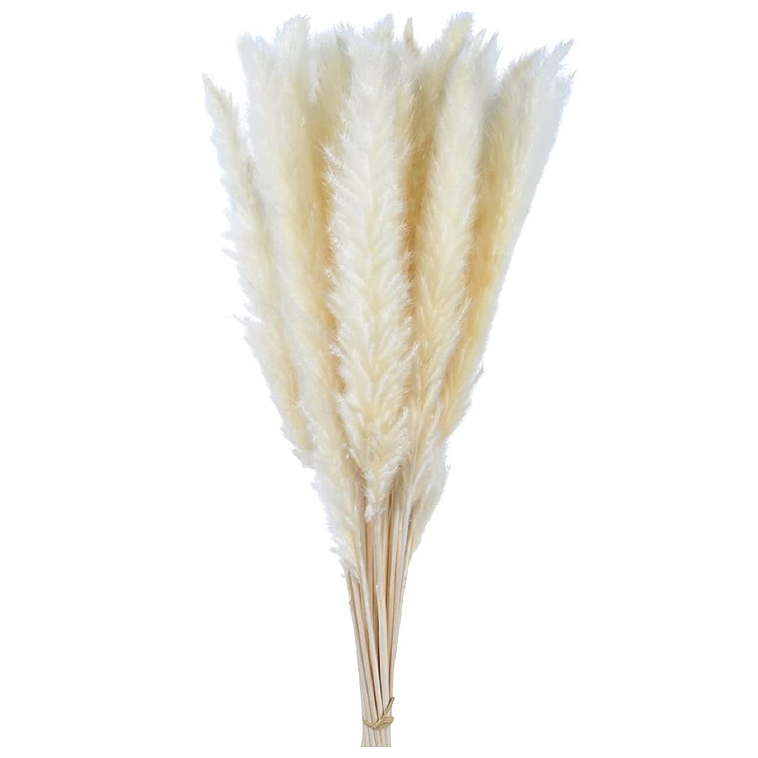 50pcs Natural leaves,artificial,ornaments,table decoration,nordic home decor,dried flowers,white leaves,indoor home decor,pampas,grass