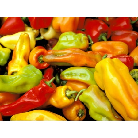 Peppers, Ferry Building Farmer's Market, San Francisco, California, USA Print Wall Art By Inger