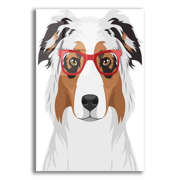 Epic Art 'Australian Shepherd Wearing Hipster Glasses' by Olga and Alexey Drozdov, Acrylic Glass Wall Art, 12"x16"