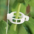 thumbnail image 3 of 100pcs Plant Support Clips Plastic Garden Clips for Tomatoes,Cucumbers & Vines Reusable Plant Ties & Training Clips for Vertical Gardening 1" x 0.4" Size, 3 of 8