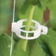 thumbnail image 3 of 100 Clips de Plástico para Soporte de Plantas - Clips de Injerto para Tomates, Pepinos y Rosas - 1 Clip de Fijación Reutilizable de 0,4 Pulgadas para Jardinería Vertical, Enrejados y Estacas, 3 of 7