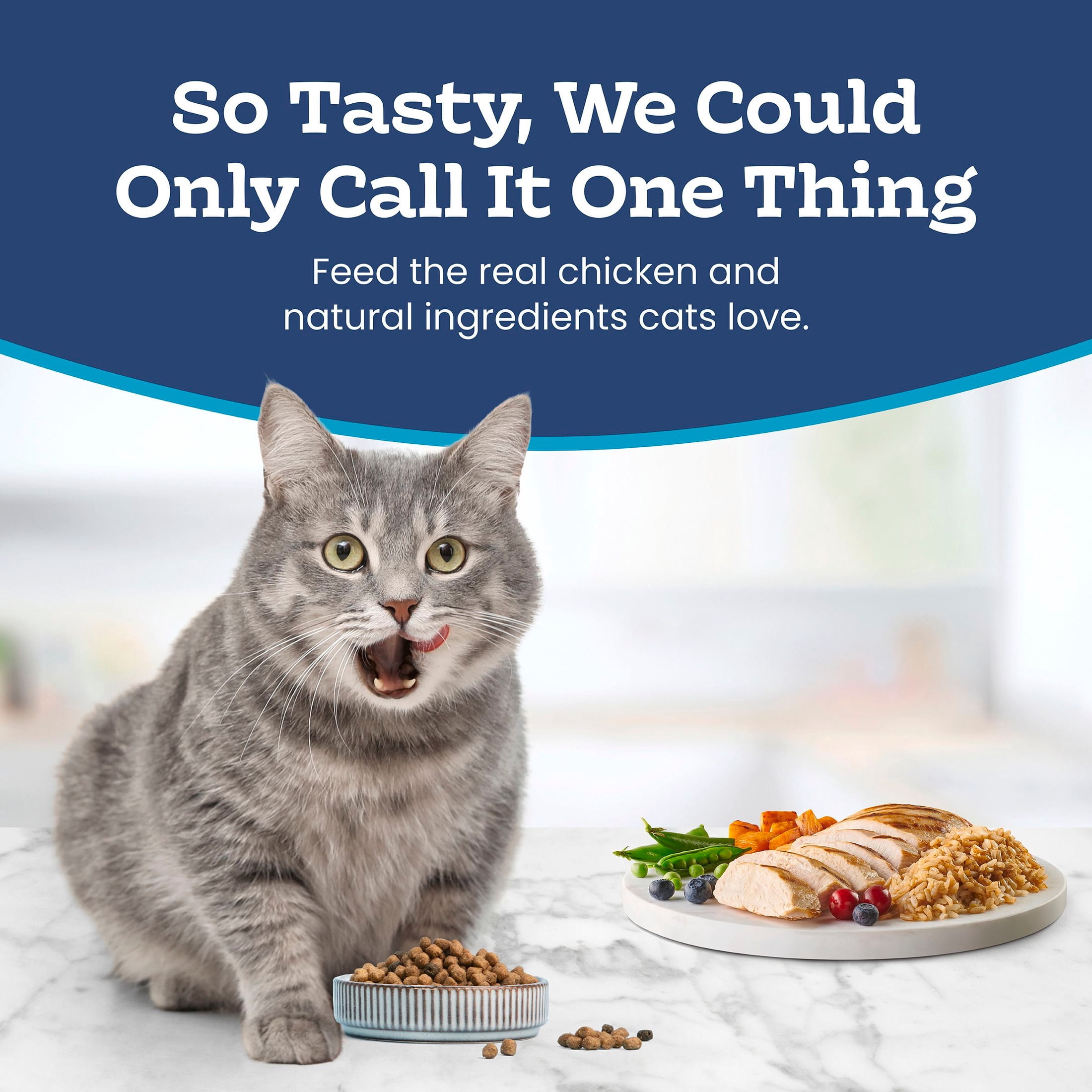 Blue Buffalo Tastefuls Mature Dry CatFood for Adult Cats 7+, Chicken & Brown Rice, 3lb Bag
