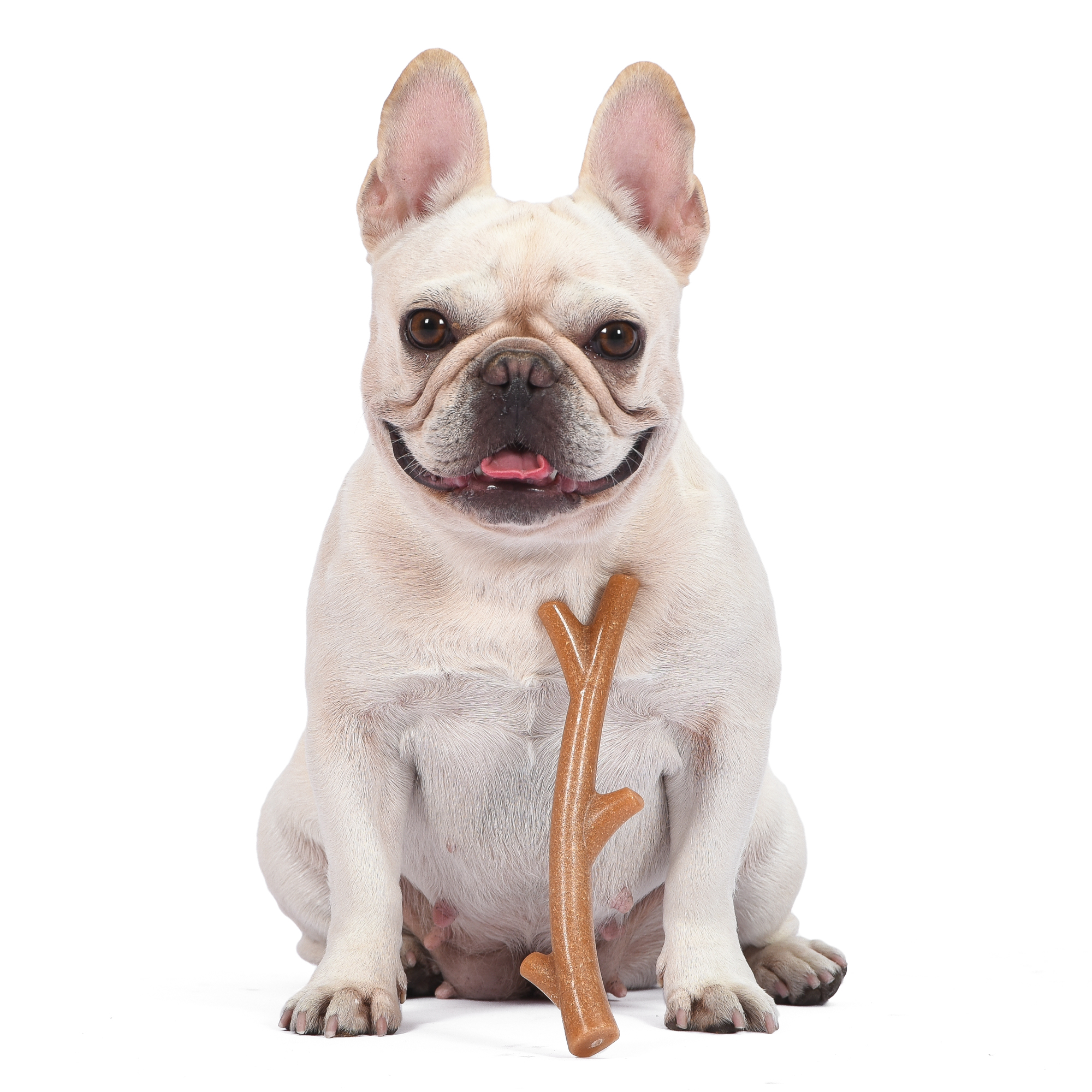 Arm & Hammer Barkies 8" Real Wood Mix Tree Branch Durable Dental Dog Chew Toy Bacon Flavor