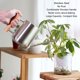 thumbnail image 4 of Regadera De Plantas De Acero Inoxidable, Regaderas Pequeñas Decorativas A Prueba De Herrumbre Ergonómicas Para Exteriores, 4 of 7