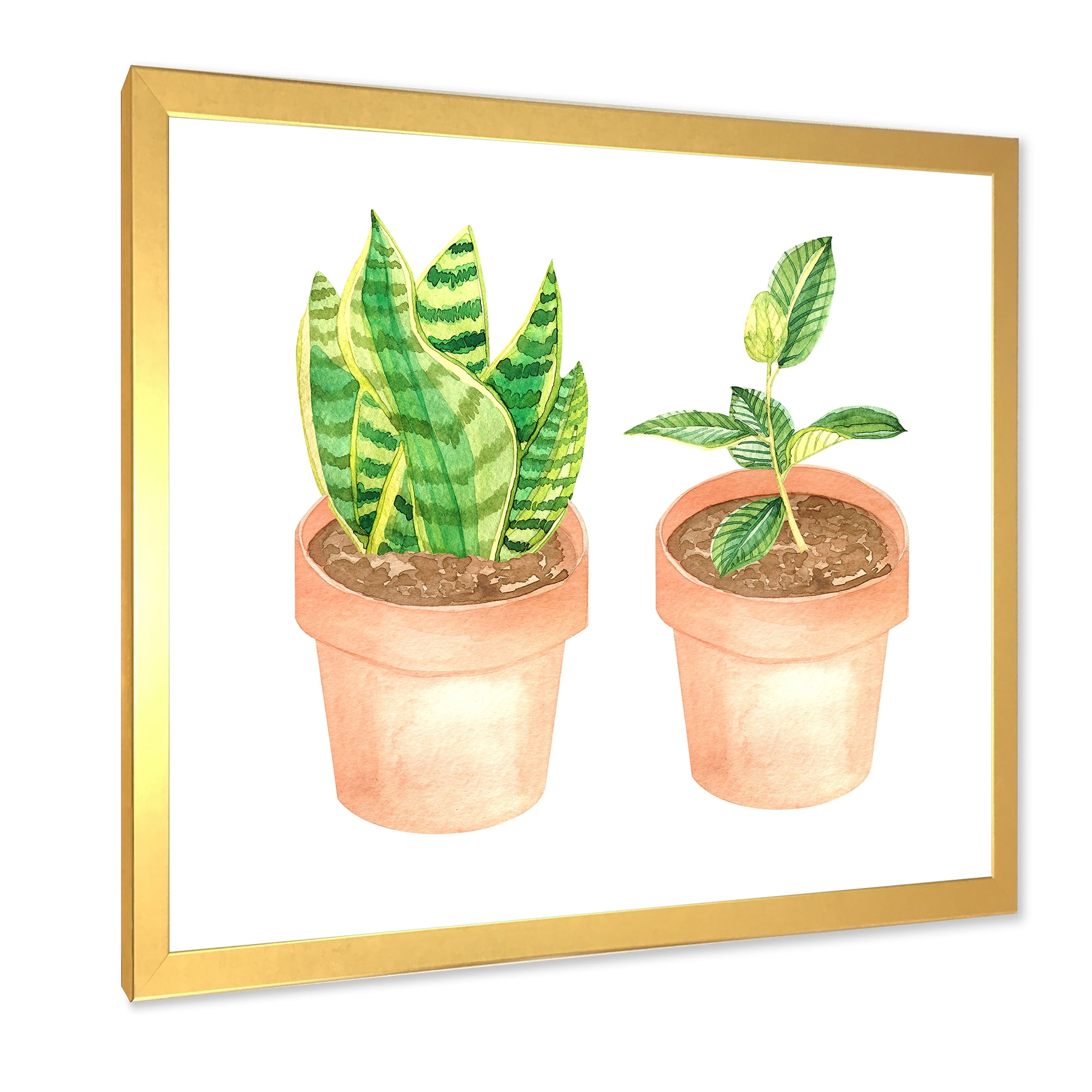 Designart 'Ficus and Sansevieria Indoor Green Home House Plants' Traditional Framed Art Print