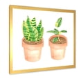 thumbnail image 2 of Designart 'Ficus and Sansevieria Indoor Green Home House Plants' Traditional Framed Art Print, 2 of 4