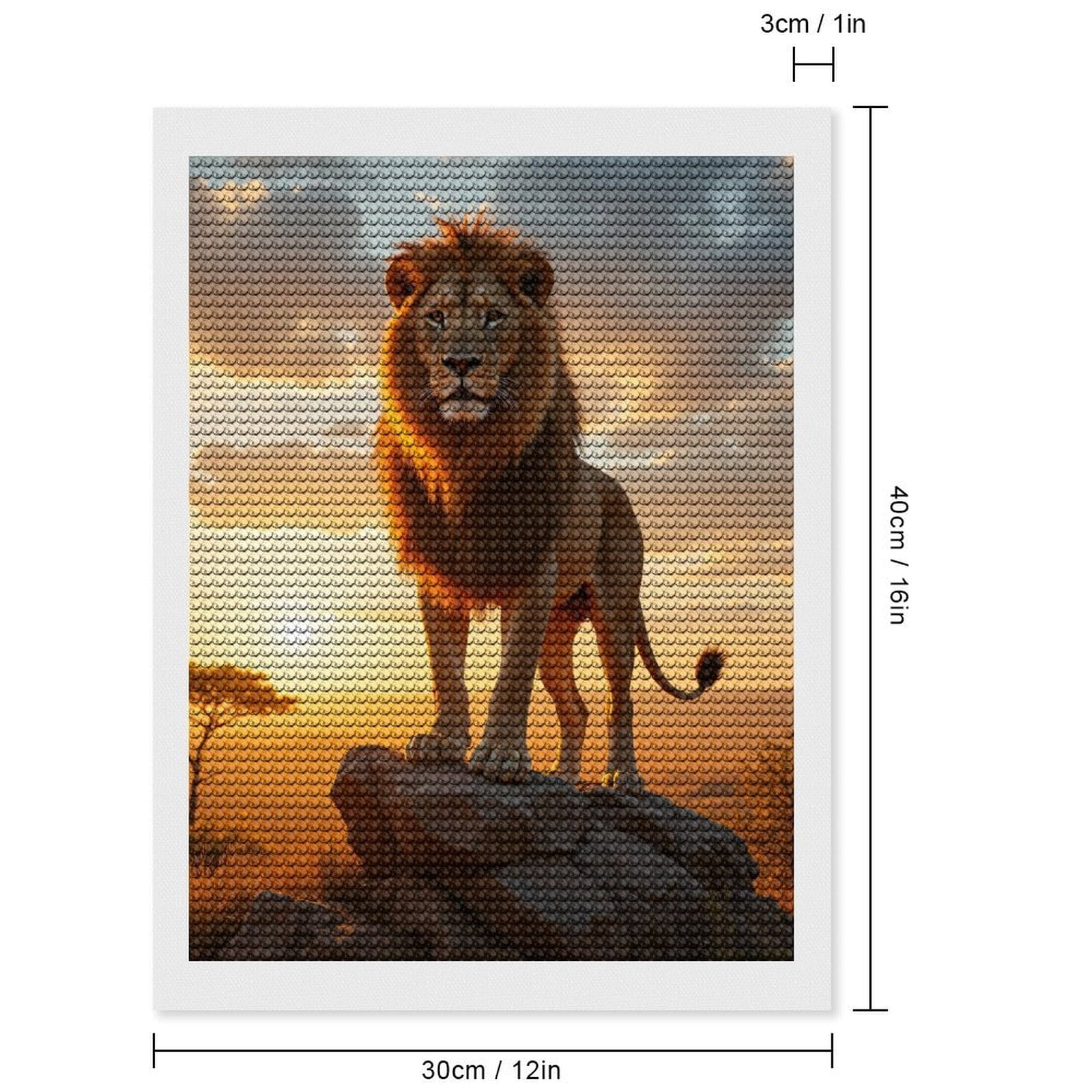 Diamond Art Kits for Adults, Lion Majestic Sunrise Rock Plains 5D Diamond Painting Kits for Adults Beginners, DIY Full Drill Diamond Painting, Gem Art and Crafts 12x16