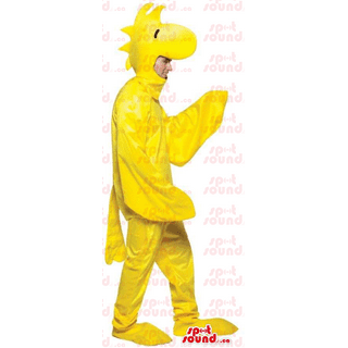 Plus size hotsell woodstock costume