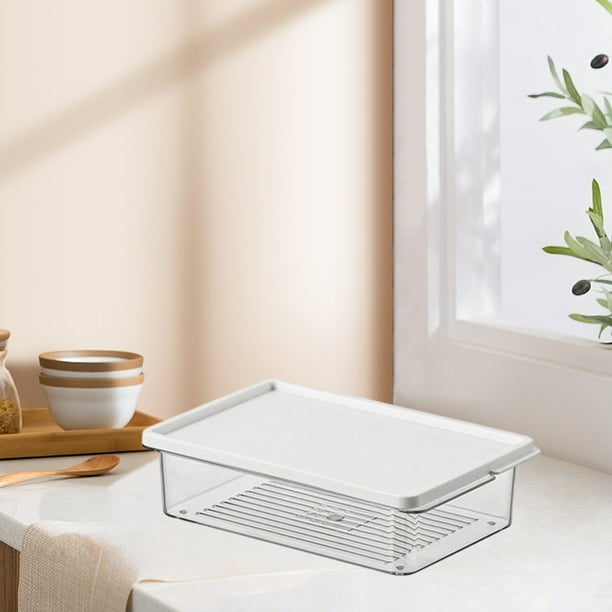 Recipiente de plástico blanco para almacenar alimentos con tapa abatible | Dispensador de queso y organizador para frutas, jengibre, ajo y especias | Caja de 1 pieza apta para refrigerador