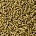 thumbnail image 2 of Mazuri Chinchilla Alimento Balanceado Para Chinchilla 1.3kg Mazuri Alimento Premium, 2 of 3