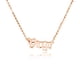 thumbnail image 1 of Collar de amistad Sonducket con letras en inglés oro rosa, 1 of 6