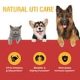 Urinary Tract Infection Treatment YPF5 for Cats and Dogs Cranberry