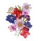 thumbnail image 1 of Flores prensadas secas, hojas florales reales secas para manualidades de bricolaje multicolor, 1 of 6