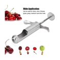 thumbnail image 2 of Stainless Steel Core Remover Tool For Hawthorn Grape Red Date De-nucleator Hawthorn Seed Removing T, 2 of 5