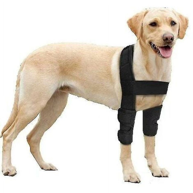 Rodilleras para perros, almohadillas para patas de perros, coderas y hombros para perros, eczema, displasia y osteoartritis, transpirables, color negro, talla L