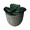 C, variant on Artificial Cactus in Pot Verdsylv Artificial Cactus in Pot - Decorative Simulation Plant for Home & Office - Suitable for Desk & Shelf Display - No Watering Needed, Decorative Simulation Plant