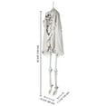 Life Size Skeleton Poseable,5.4 FT Full Size Human Skeleton Two Headed
