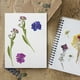 thumbnail image 2 of Papel prensado de flores DIY - 6 hojas de secado de plantas hechas a mano, papel absorbente para secar flores., 2 of 8